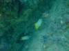 dscf2122_small.jpg
