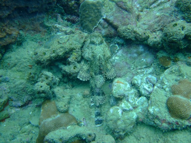 dscf2124.jpg