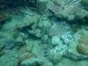 dscf2124_small.jpg