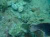 dscf2125_small.jpg