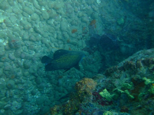 dscf2126.jpg