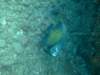 dscf2127_small.jpg