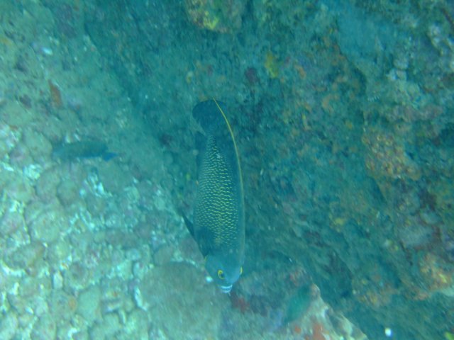 dscf2128.jpg