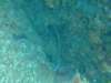 dscf2128_small.jpg