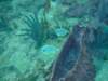 dscf2129_small.jpg