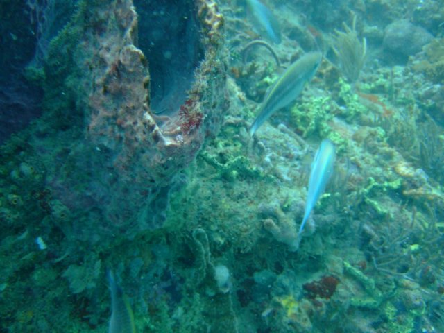 dscf2135.jpg