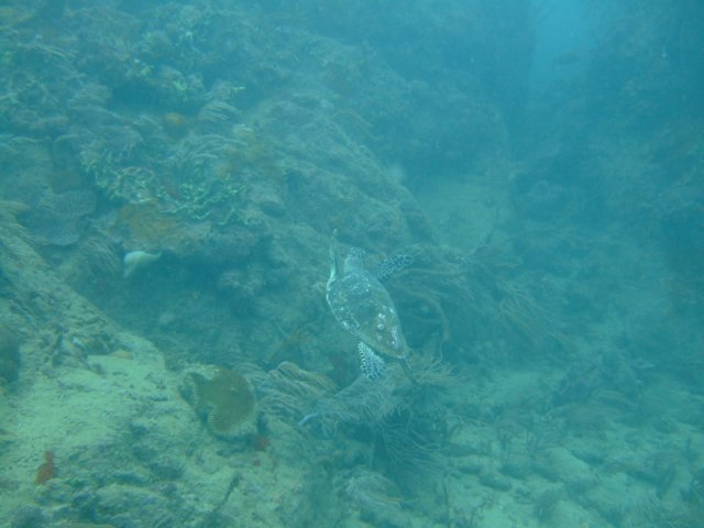 dscf2139.jpg