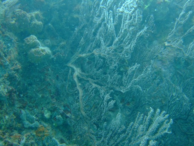 dscf2147.jpg