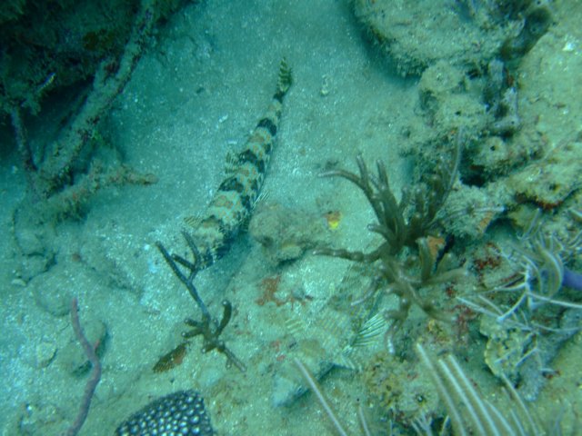 dscf2149.jpg