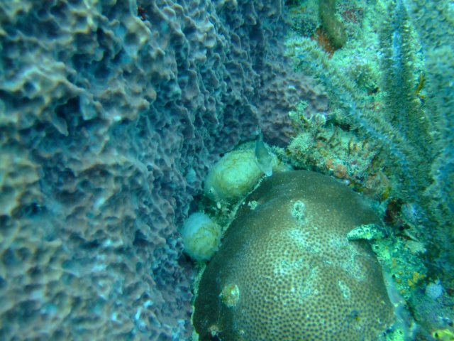 dscf2151.jpg