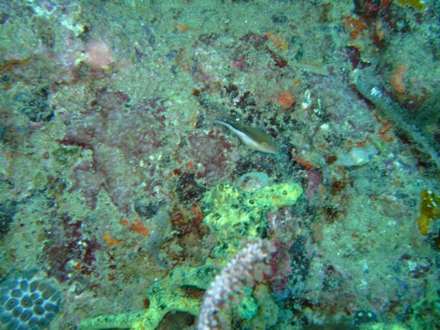 dscf2152.jpg