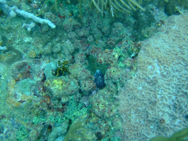 dscf2155.jpg