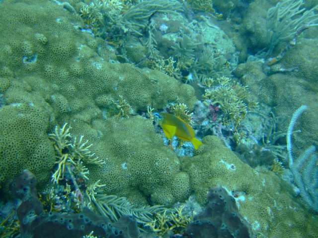 dscf2158.jpg