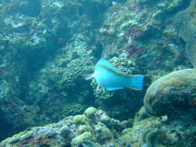 dscf2180.jpg