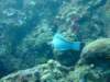 dscf2180_small.jpg