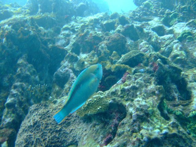 dscf2181.jpg