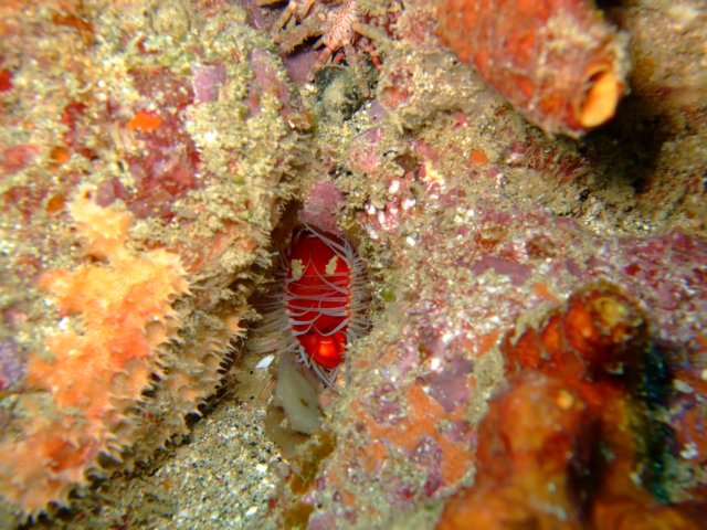 dscf2183.jpg