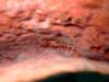 dscf2184_small.jpg