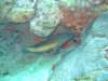 dscf2185_small.jpg