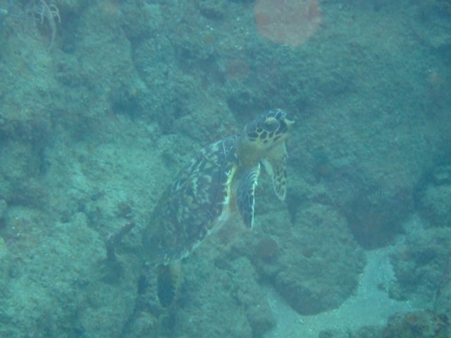 dscf2186.jpg