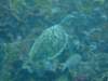 dscf2187_small.jpg