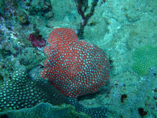 dscf2188.jpg