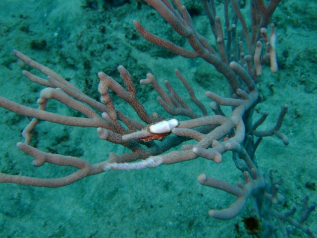 dscf2191.jpg