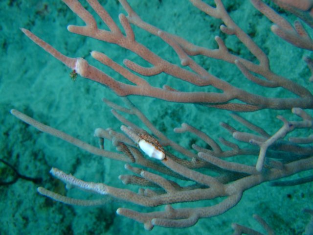 dscf2192.jpg