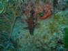 dscf2194_small.jpg