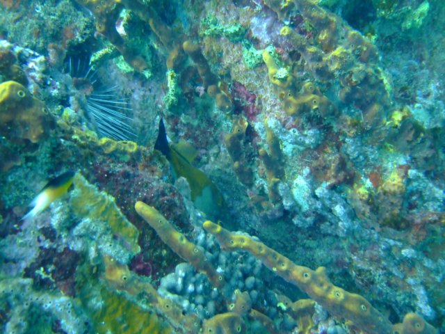 dscf2196.jpg