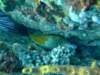 dscf2197_small.jpg