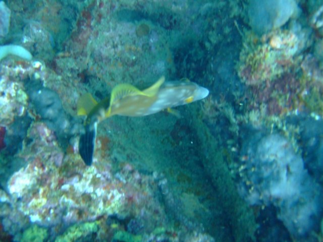 dscf2198.jpg