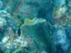 dscf2198_small.jpg