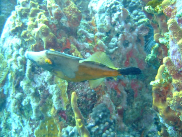 dscf2201.jpg