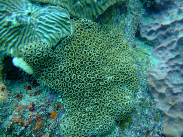 dscf2203.jpg