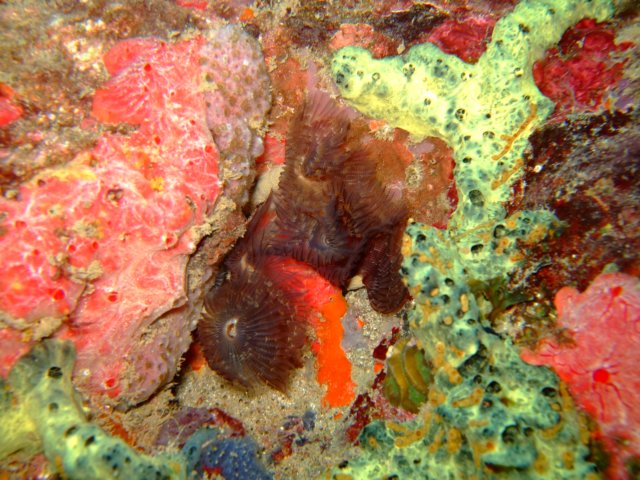dscf2206.jpg