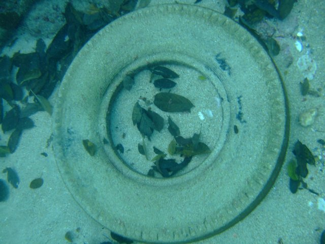 dscf2208.jpg