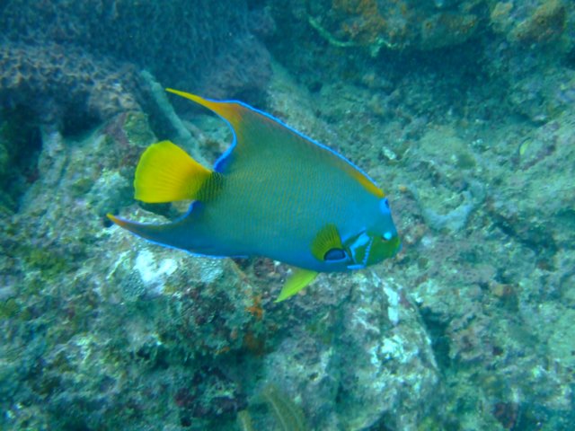 dscf2214.jpg