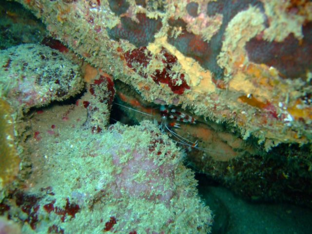 dscf2216.jpg