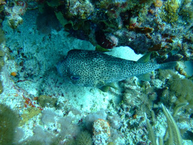 dscf2266.jpg