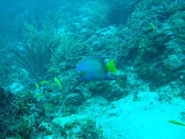 dscf2269.jpg