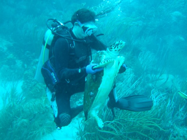 dscf2272.jpg