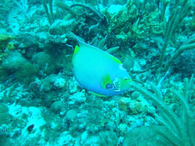 dscf2277.jpg
