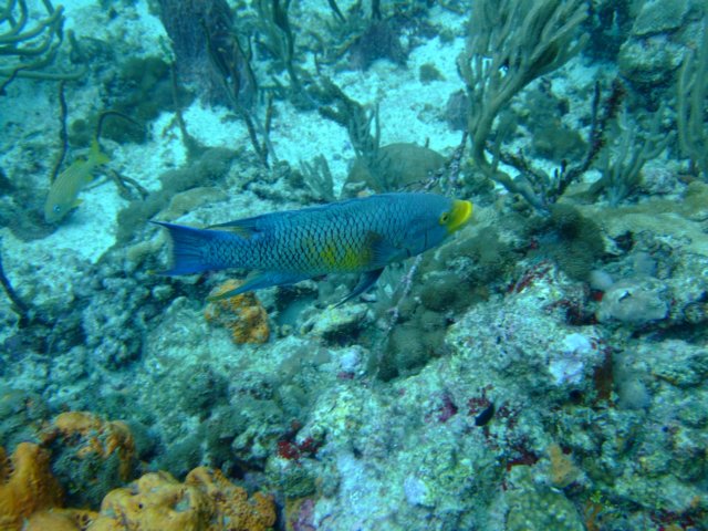 dscf2279.jpg