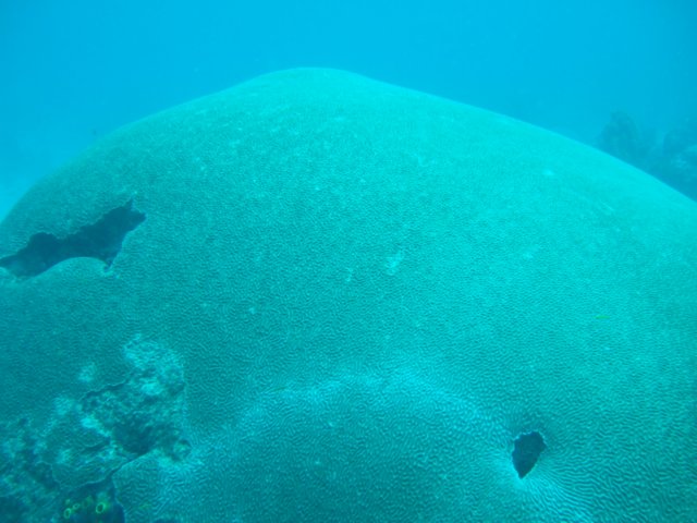 dscf2280.jpg