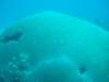 dscf2280_small.jpg