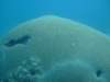 dscf2281_small.jpg