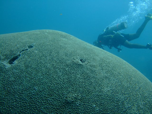 dscf2282.jpg