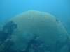 dscf2283_small.jpg