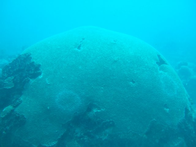 dscf2284.jpg